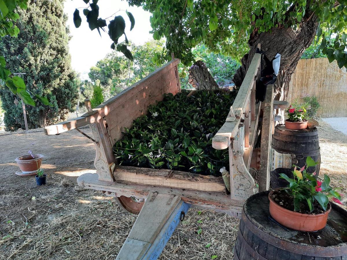 Tenuta Coppa Zuccari Citta Sant'Angelo Exterior photo